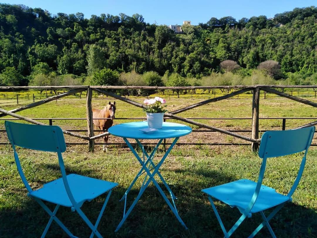 Tenuta Calidarius Baia  Buitenkant foto