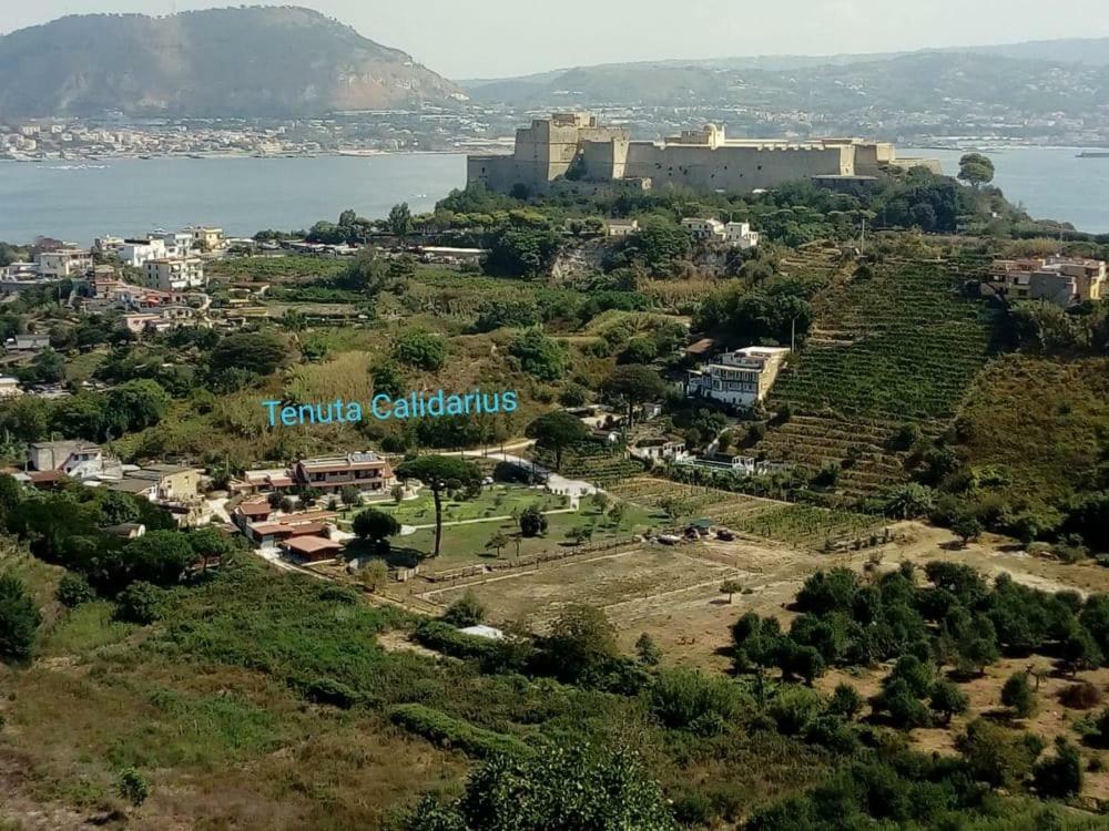 Tenuta Calidarius Baia  Buitenkant foto