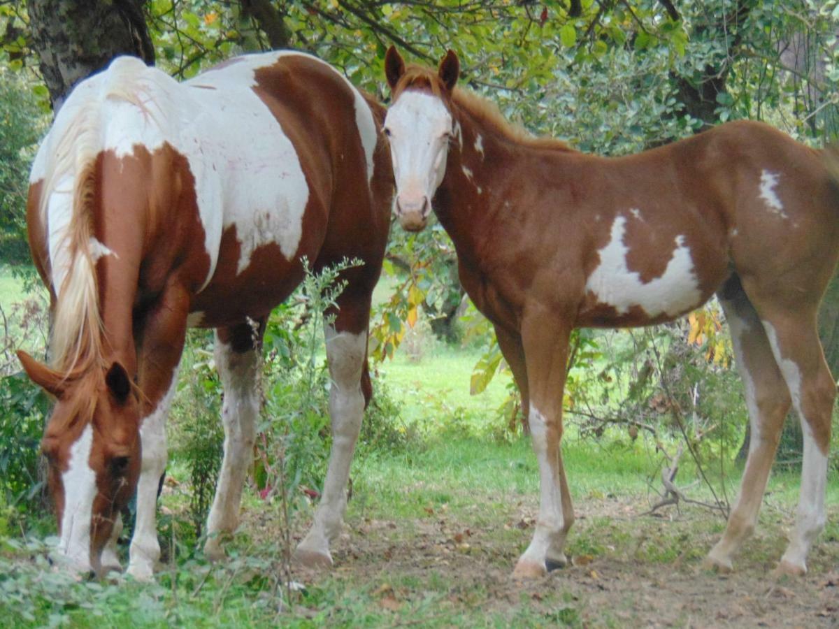 Tenuta Calidarius Baia  Buitenkant foto